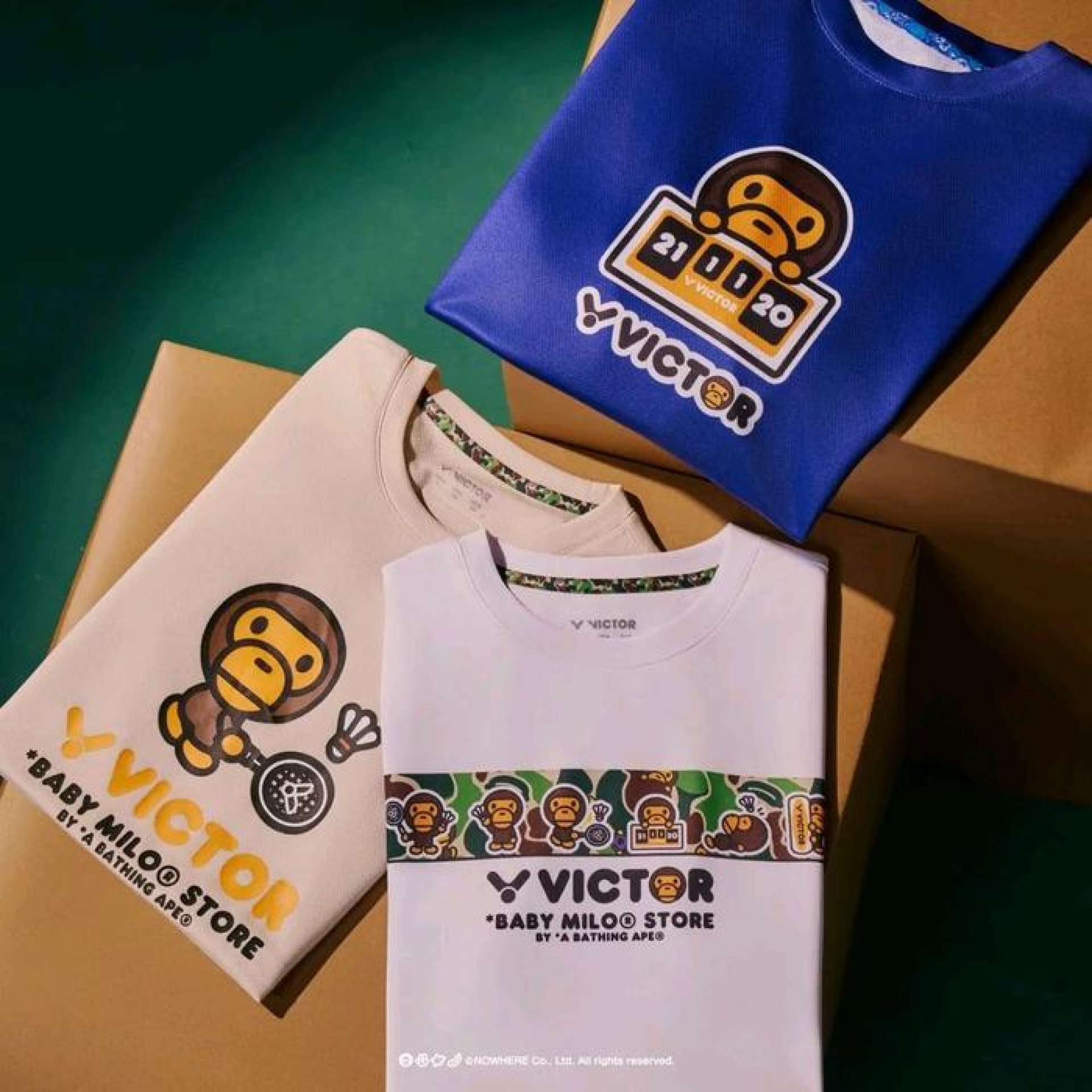 New Limited Edition Knitted T-Shirt Victor Baby Milo T-502BM A
